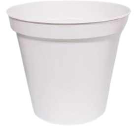 White Pot