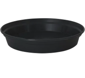 Black Saucer
