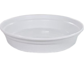 White Saucer